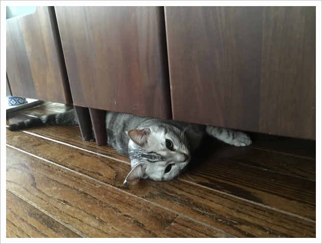 image.jpeg image.jpeg