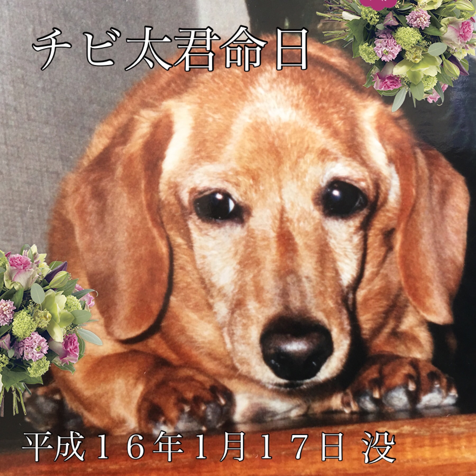 image.jpeg image.jpeg