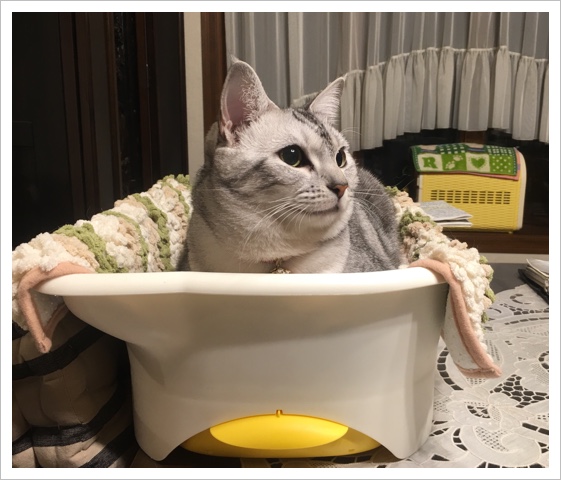 image.jpeg
