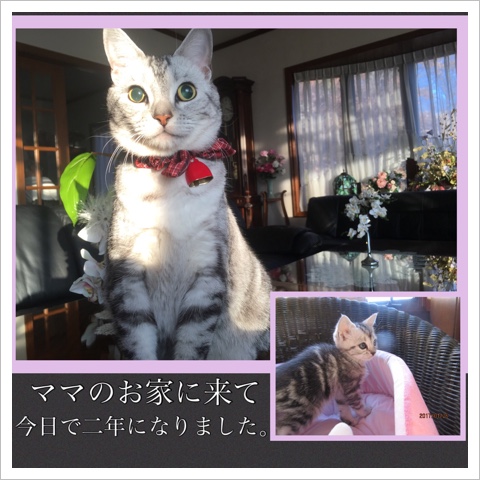image.jpeg image.jpeg