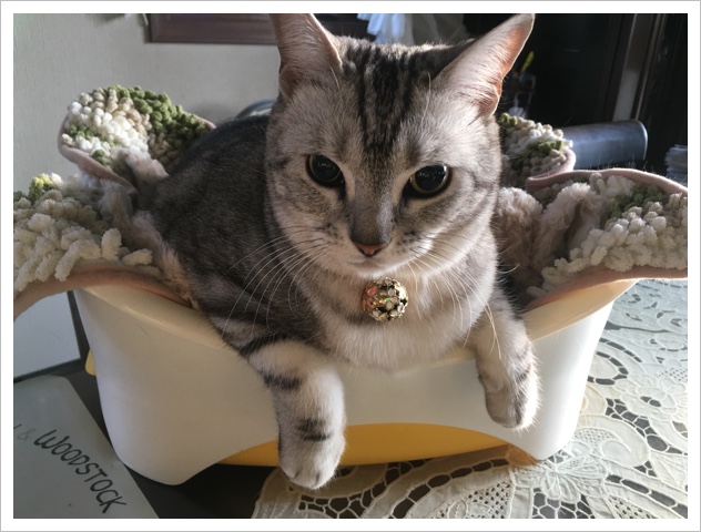image.jpeg image.jpeg