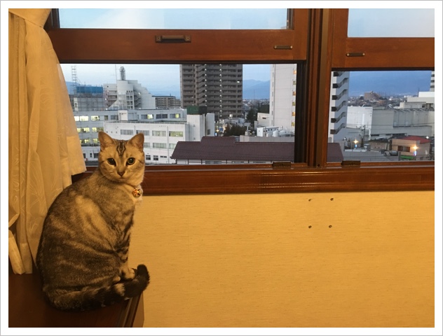 image.jpeg image.jpeg