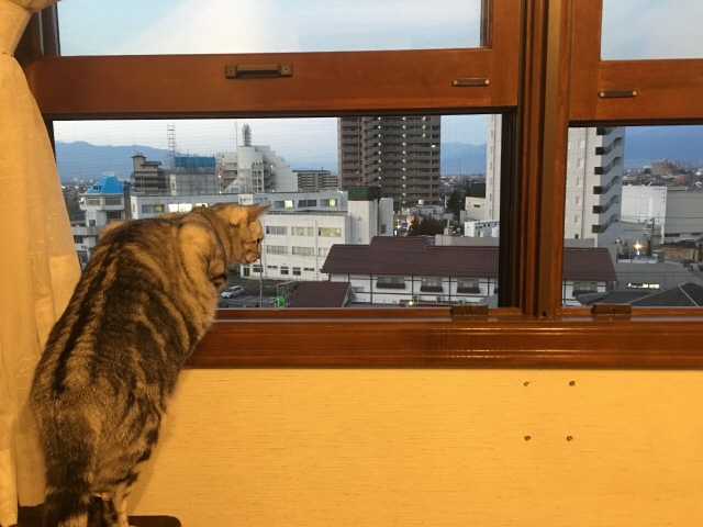 image.jpeg image.jpeg