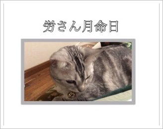 image.jpeg