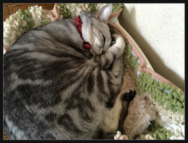 image.jpeg image.jpeg