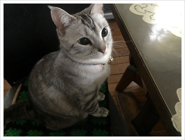 image.jpeg