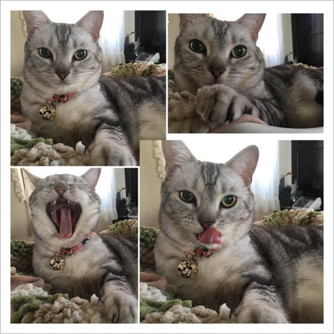 image.jpeg image.jpeg