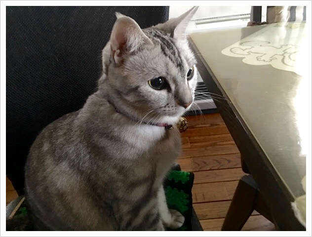 image.jpeg