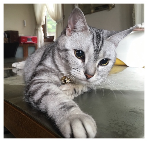 image.jpeg image.jpeg