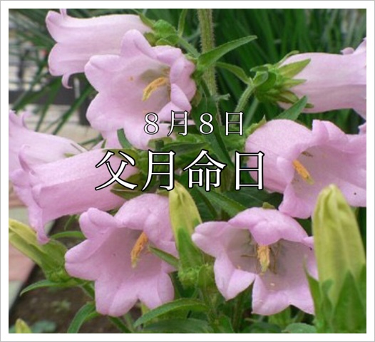 image.jpeg