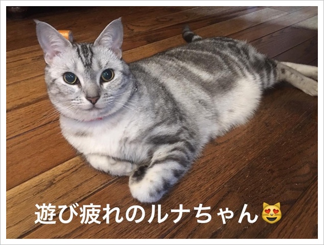 image.jpeg image.jpeg