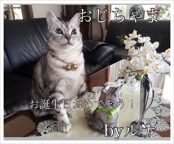 image.jpeg image.jpeg
