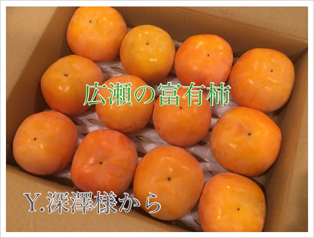 Y.߷ͤ鹭ͭ