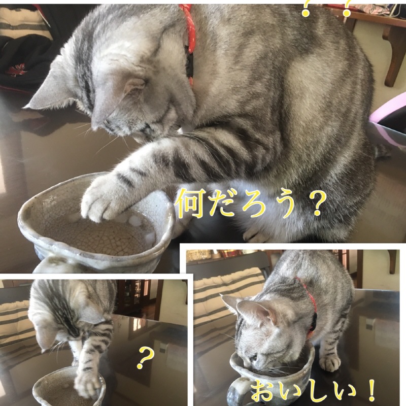 ʤ䤿夬繥Ǥ