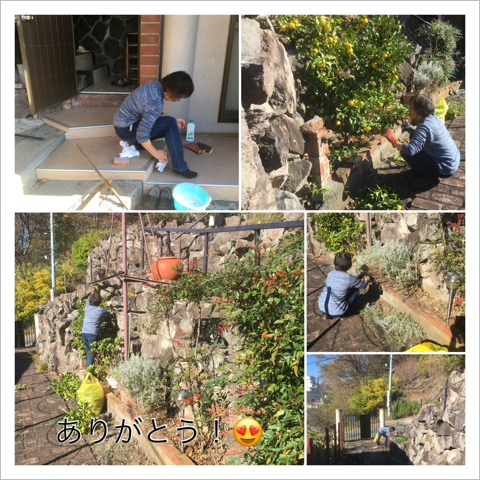դƤ Wakae Toyama