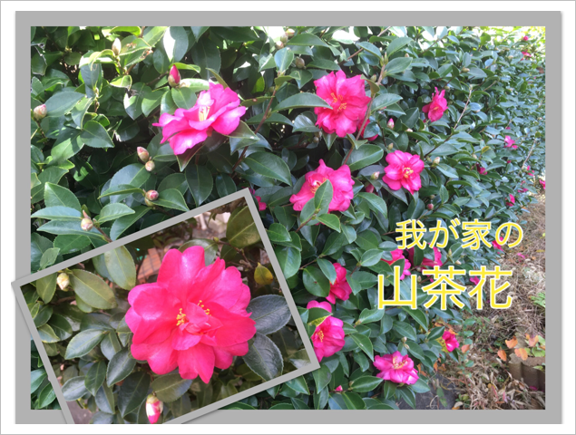 椬Ȥλ