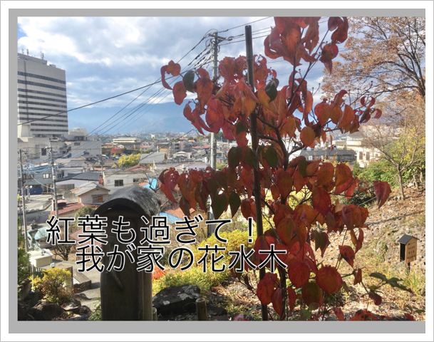 椬Ȥβֿ