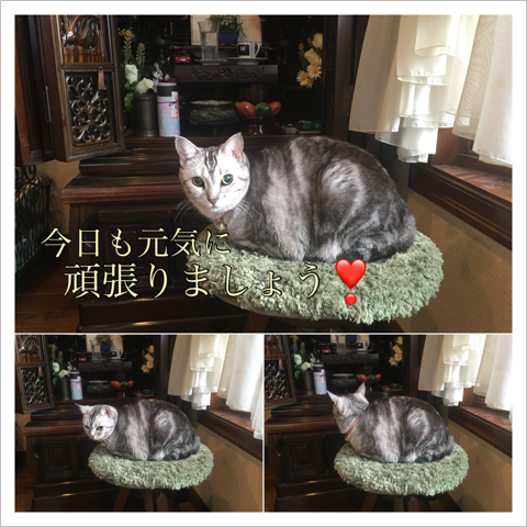 ⸵˴ĥޤ礦ʤ
