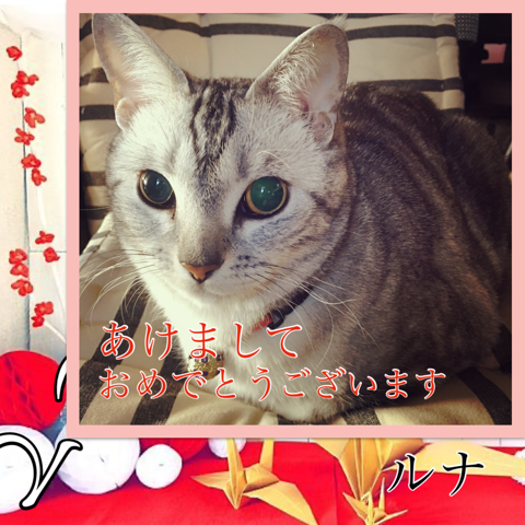 ʤ⤴ĤǤ