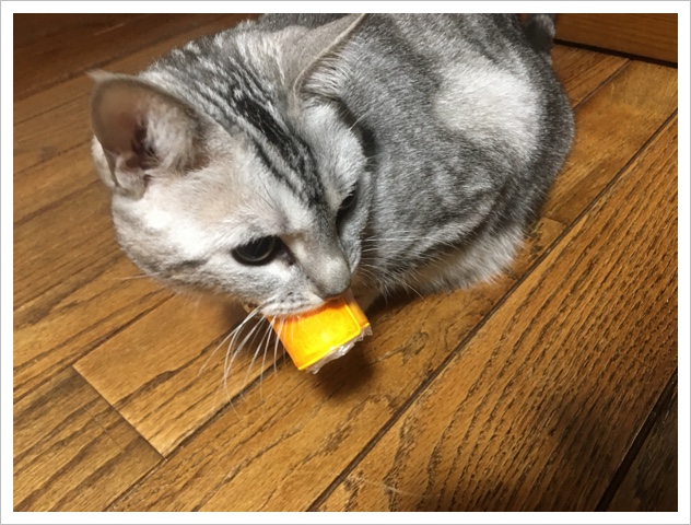 ルナちゃんです ルナちゃんです