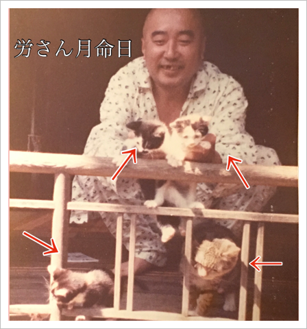 今日は労さん月命日 今日は労さん月命日