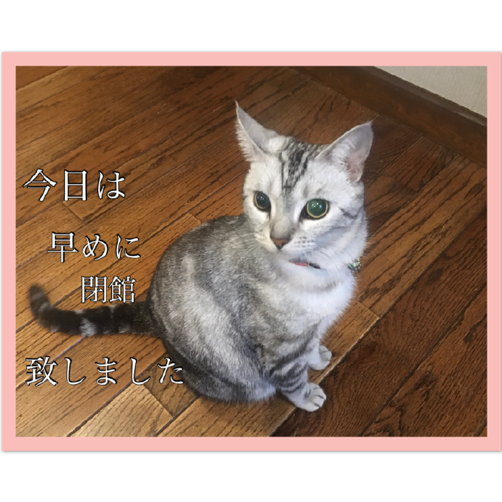 Ĵפޤ