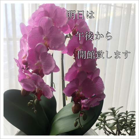 ϸ夫鳫פޤ
