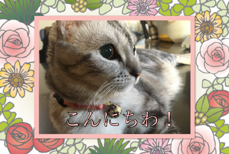 ˤ by 