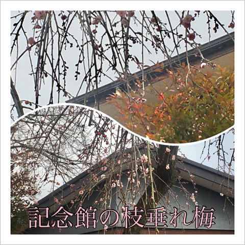 ǰۤλ޿