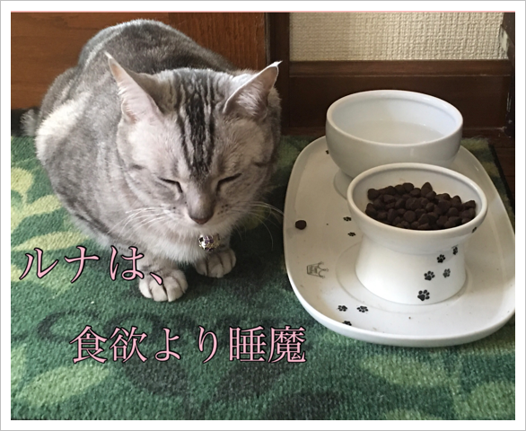 ʤϿߤǤ
