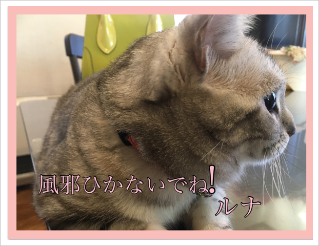 ʤ٤ҤʤǤ͡