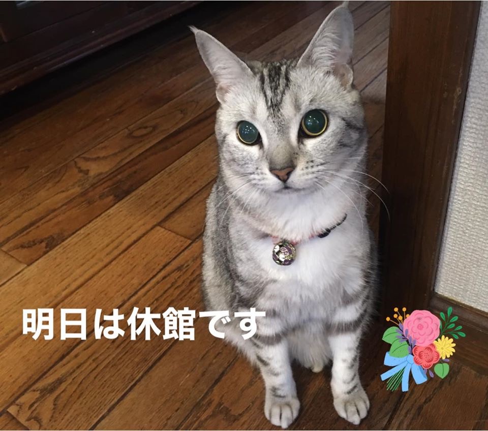 ϵٴǤ by 