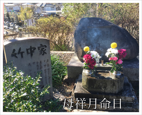 ξͷ̿軲