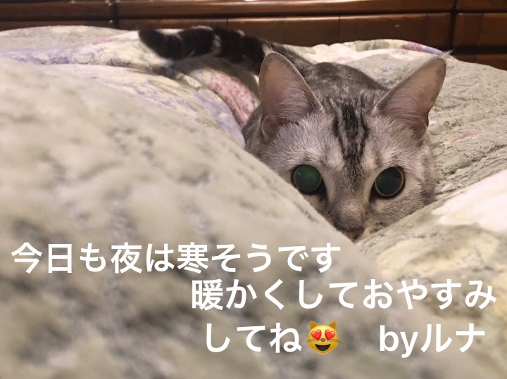 ȤƤ䤹ߤƤ by 