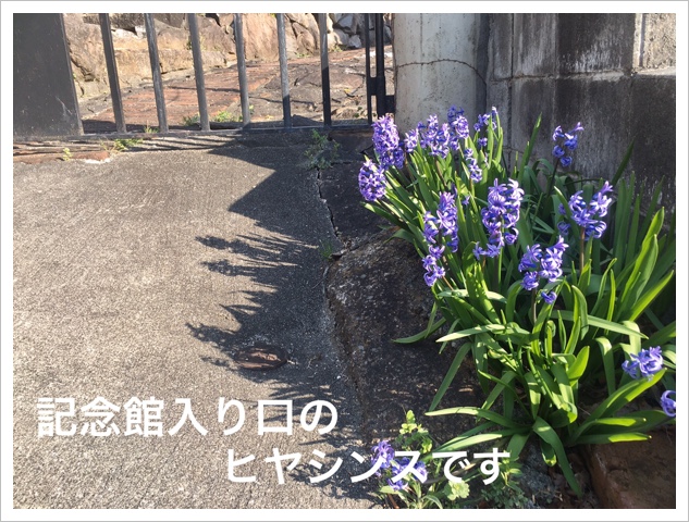 ǰΥҥ䥷