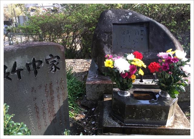 ͷ̿Τ軲