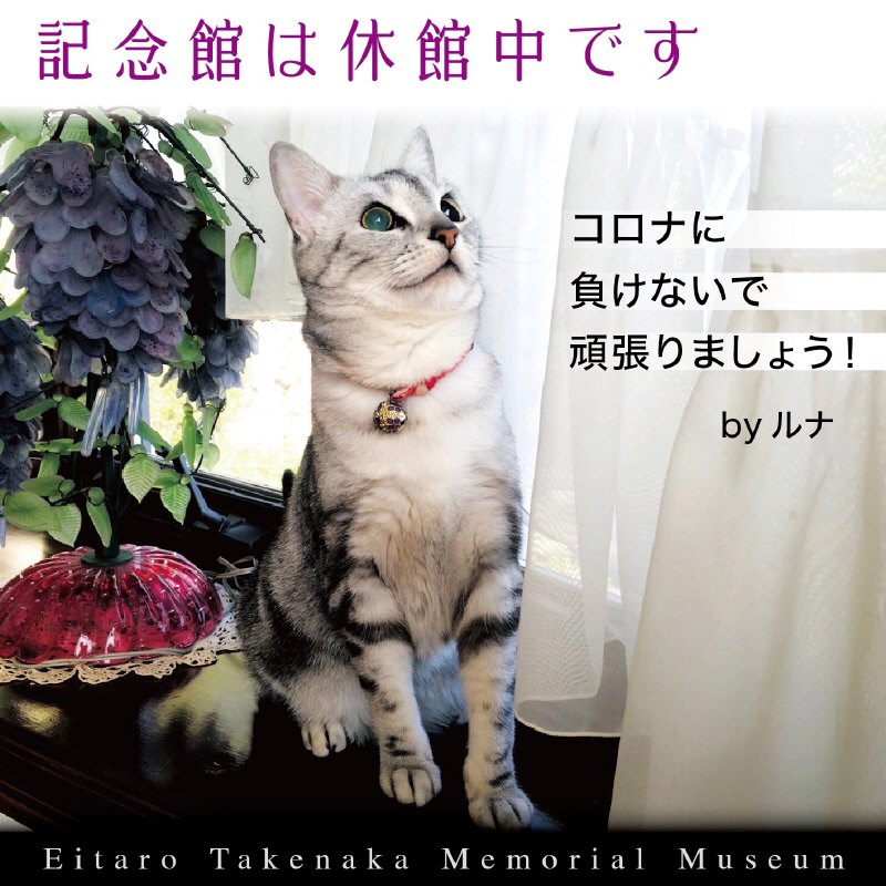 ǰۤϵٴǤ by 
