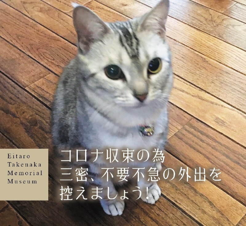 ʤ⤪ꤤǤ