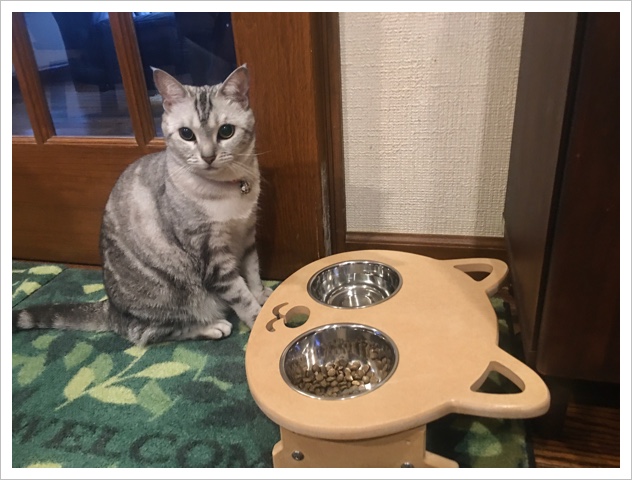 ルナちゃん用のご飯セット ルナちゃん用のご飯セット