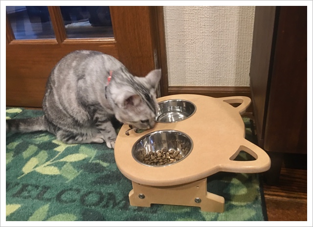 ご飯セットでお食事中 ご飯セットでお食事中