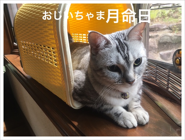 ޤη̿Ǥ by 