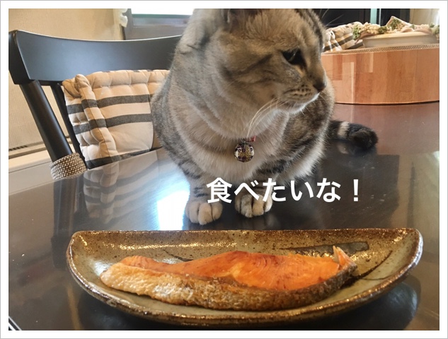 ɤǤޤ by 