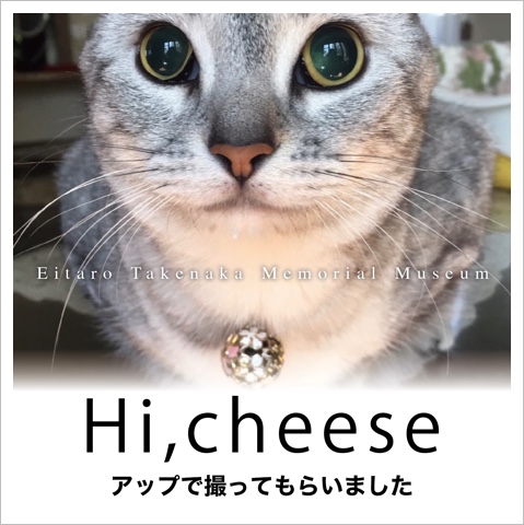 66671FB3-8C6C-4B2C-AE98-56897E254799.jpeg 66671FB3-8C6C-4B2C-AE98-56897E254799.jpeg