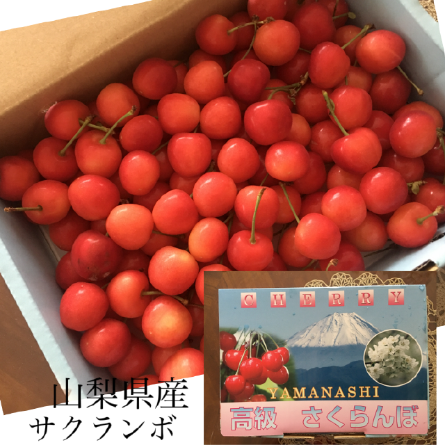 1C43BDE7-5BF3-40E8-8F4E-43439B02E71B.png