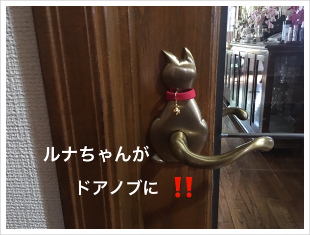 58E05315-E01A-4D3E-9E99-56F38F1BAA86.jpeg