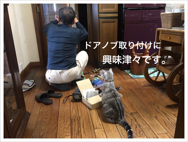 04AA435C-FE68-496D-B156-E0F15F6291E9.jpeg
