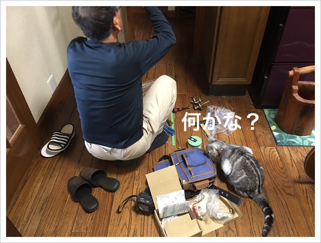 070F029F-5DAF-44B9-86EC-CB1F6504B140.jpeg