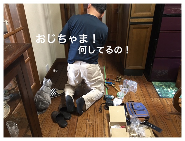 81D26530-DD9B-4E9E-BDBA-1BECA4041D40.jpeg