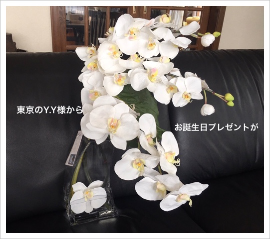 07B57160-0B35-4C21-999B-4A16D3B65026.jpeg