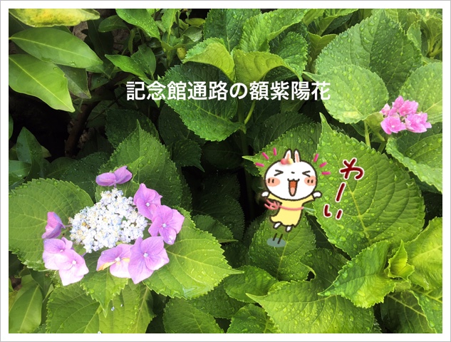 CC1E8B0D-47AC-4412-A780-6BD5A4E0092D.jpeg